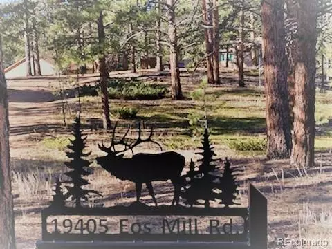 19405 Eos Mill RD, Pine, CO 80470