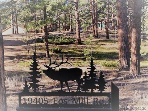 19405 Eos Mill RD, Pine, CO 80470