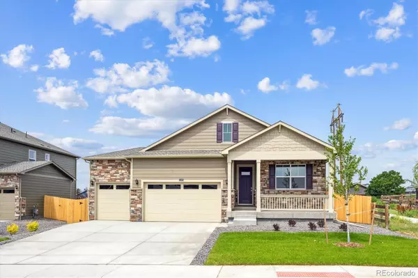 13446 Valentia ST, Thornton, CO 80602