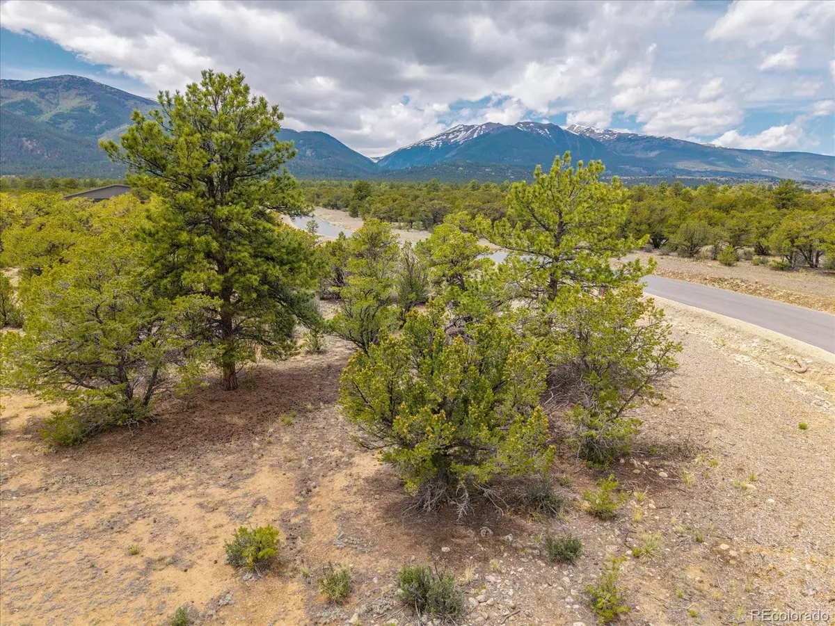 Buena Vista, CO 81211,28924 Timber Ridge