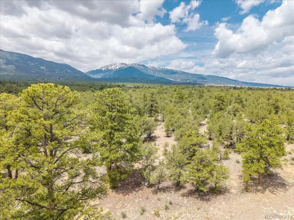 Buena Vista, CO 81211,28924 Timber Ridge