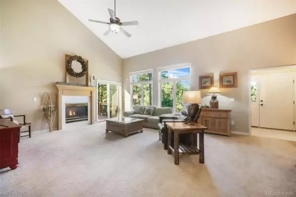 Monument, CO 80132,17045 Viscount CT