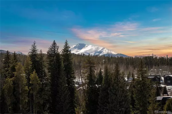 Winter Park, CO 80482,90 Wheeler RD