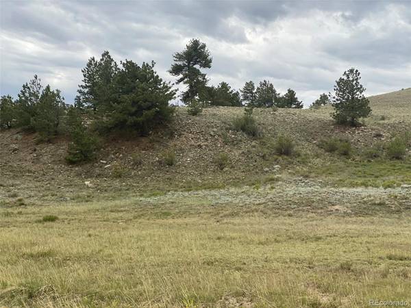 000 Tonkawa RD, Hartsel, CO 80449