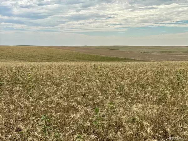 Genoa, CO 80818,County Road 35