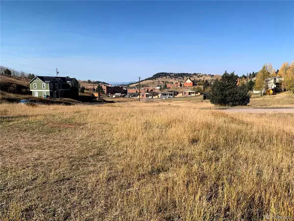 Cripple Creek, CO 80813,703 Lode ST