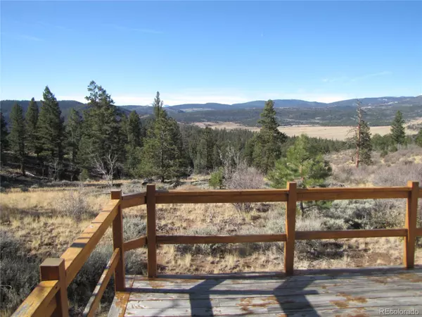 1662 Narrow Gauge RD, Hartsel, CO 80449