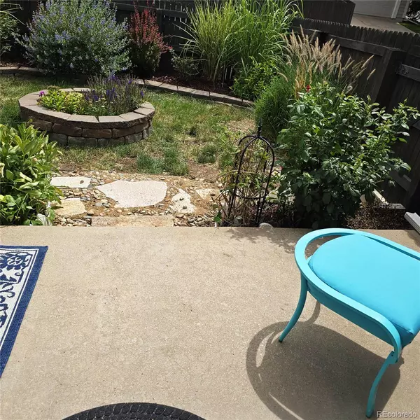 Parker, CO 80138,19615 Applewood CT