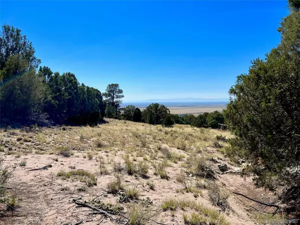 Crestone, CO 81131,4413 E Twin View CT