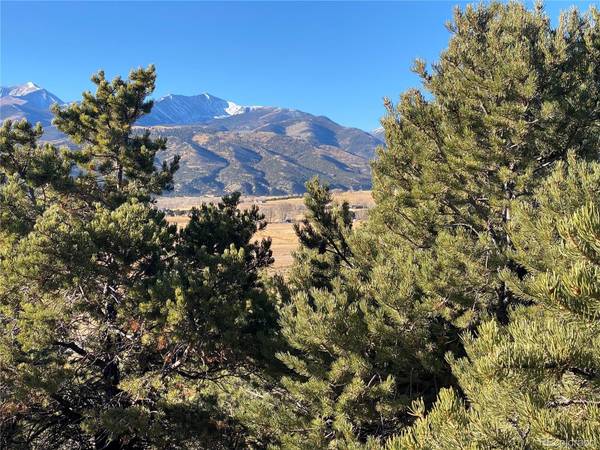 Salida, CO 81201,12550 Bald Eagle LN