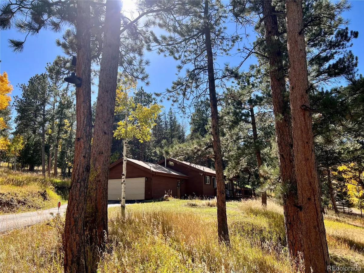 Bailey, CO 80421,14 Aspen DR