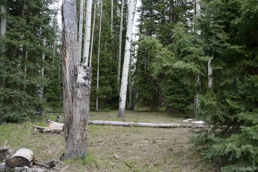 1401 Hazel Lake DR, Cimarron, CO 81220