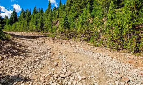 Idaho Springs, CO 80452,123 Pooh Corner RD