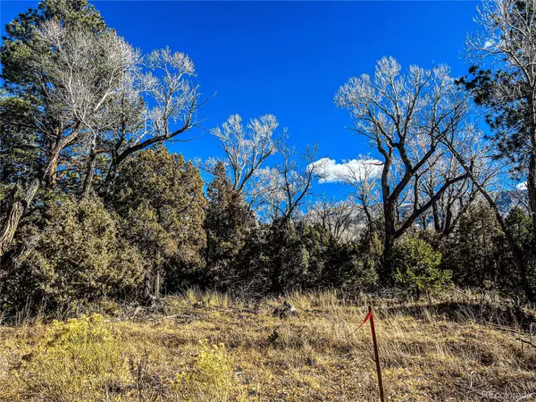 Mosca, CO 81146,27 Pine Valley LOOP