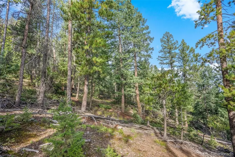 Lost Cabin Trail, Evergreen, CO 80439