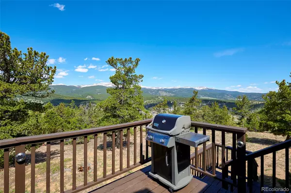 Nederland, CO 80466,90 Peakview DR