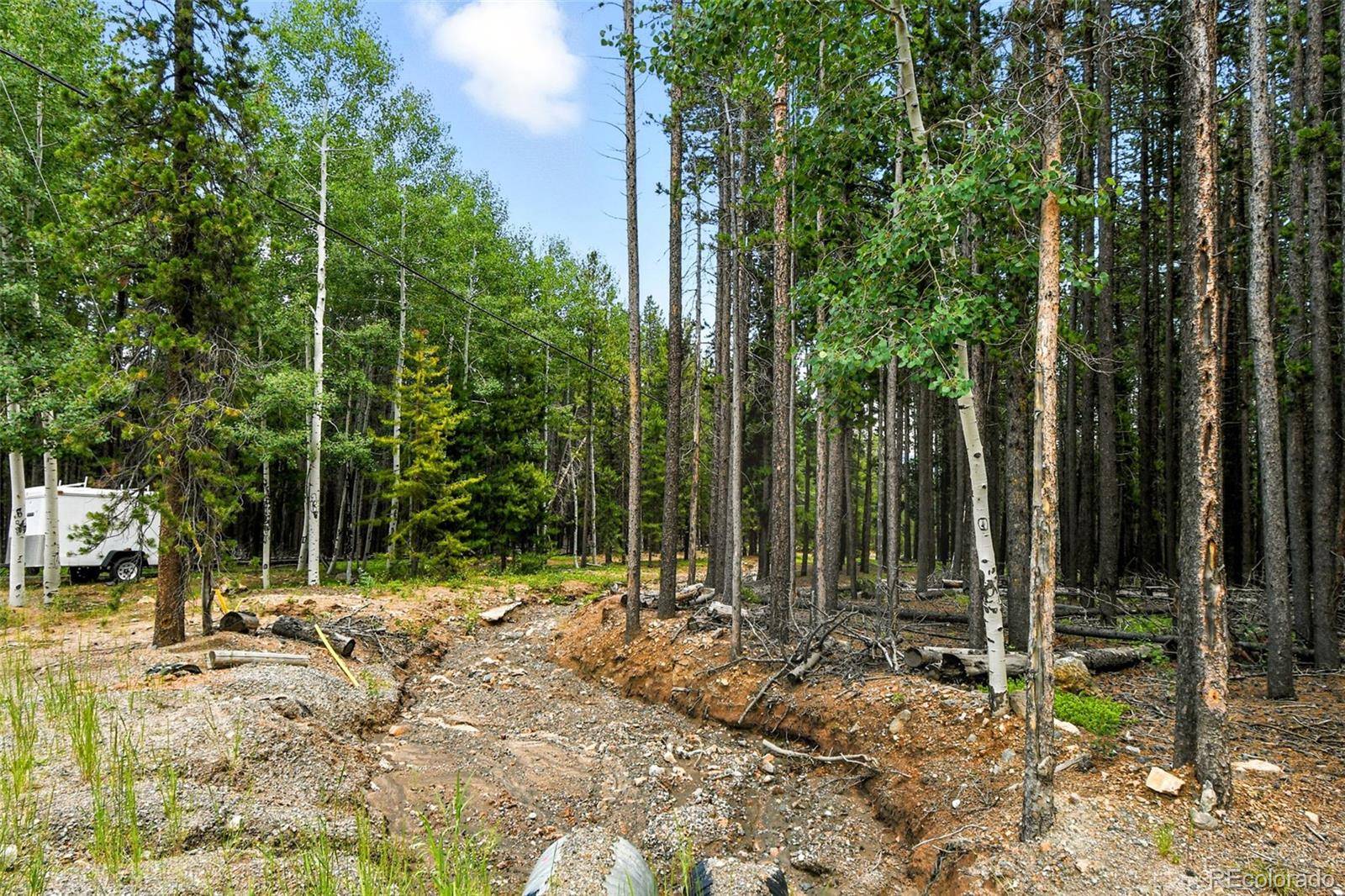 Evergreen, CO 80439,Aspen WAY