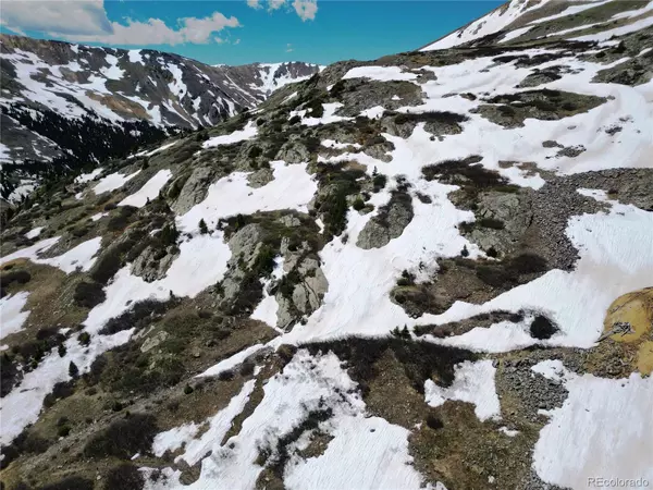 Montezuma, CO 80435,8155 County Road  260 DR