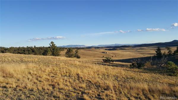 112 Jewel Cave PATH, Hartsel, CO 80449