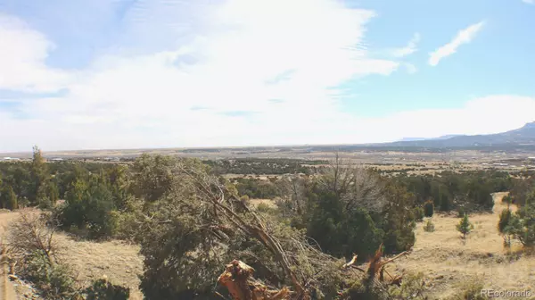 Trinidad, CO 81082,Rancho Verde Tract 12