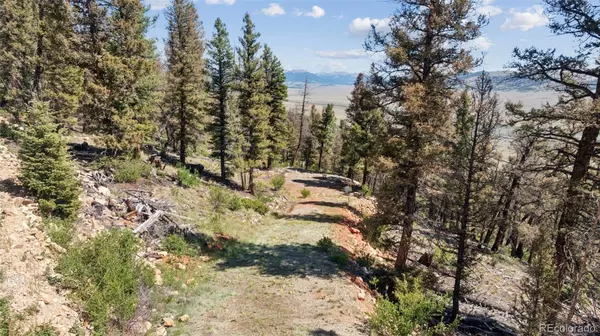 Fairplay, CO 80440,1050 Middle Fork VIS