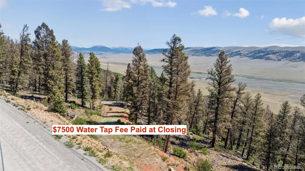 1050 Middle Fork VIS, Fairplay, CO 80440