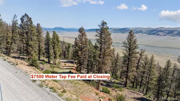 1050 Middle Fork VIS, Fairplay, CO 80440