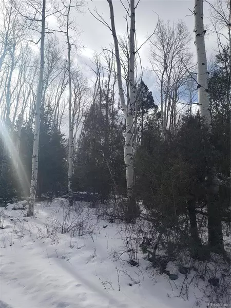 255 Mill Run RD, Mosca, CO 81146