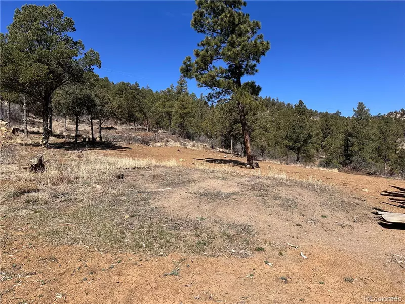 000 Big Pine Ridge, Weston, CO 81091