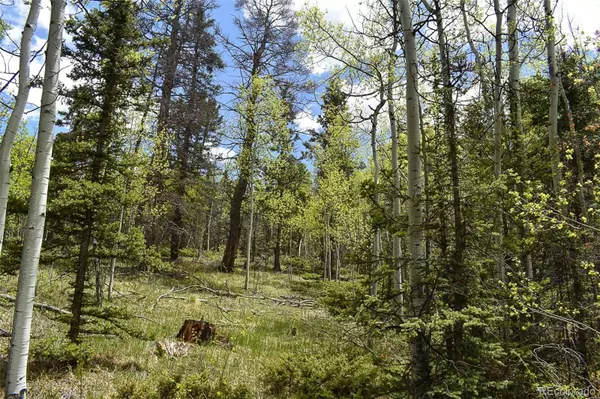430 Timberline DR, Guffey, CO 80820
