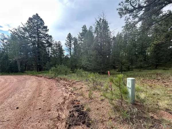 Florissant, CO 80816,664 Calle De La Lluvia