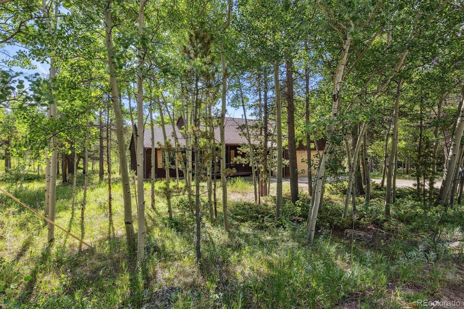 Black Hawk, CO 80422,32 Foxtail CIR