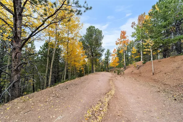 Cripple Creek, CO 80813,n/a May Queen DR