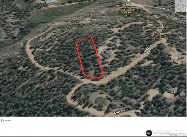 Woodland Park, CO 80135,1117 Appleby DR
