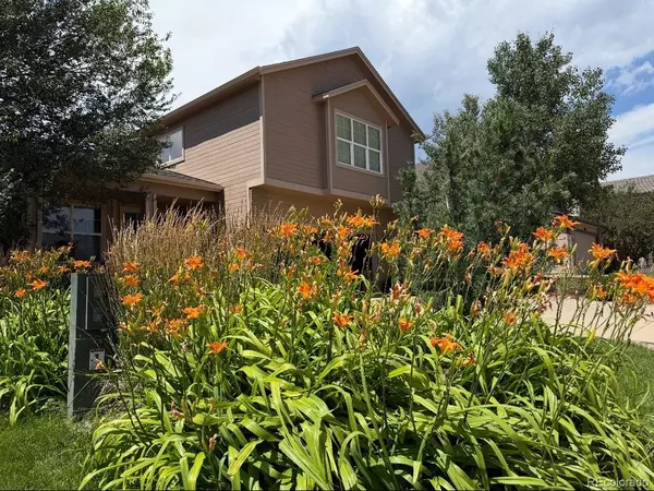 Colorado Springs, CO 80922,3978 Pronghorn Meadows CIR