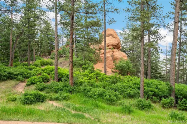 4580 Delaware DR, Larkspur, CO 80118