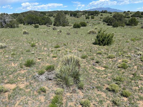 Walsenburg, CO 81089,Lot #19 Rio Cucharas Phs 1