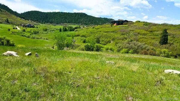 Castle Rock, CO 80104,4040 Bell Mountain DR