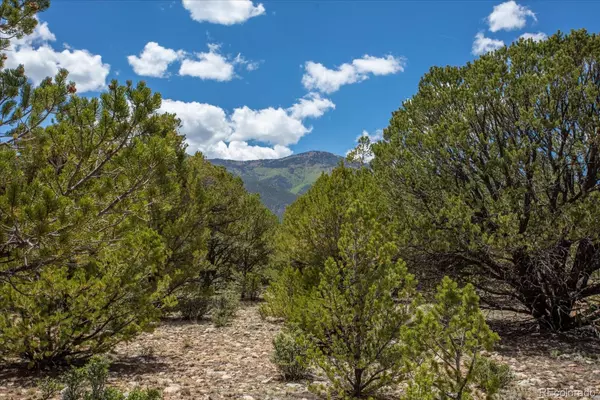 Buena Vista, CO 81211,29278 Lakota LN