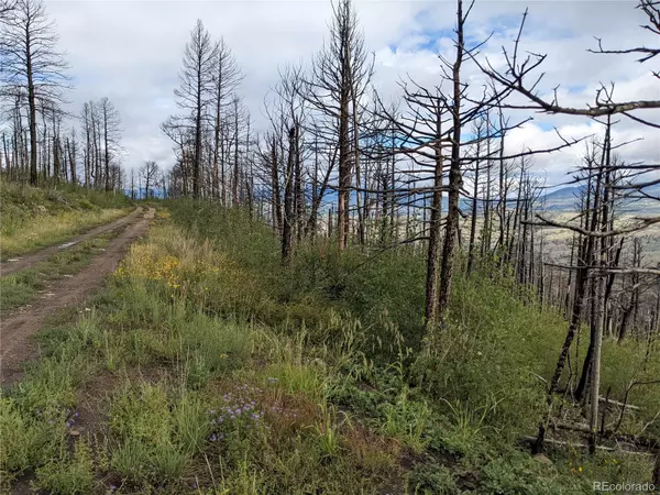 Fort Garland, CO 81133,490 Soubry