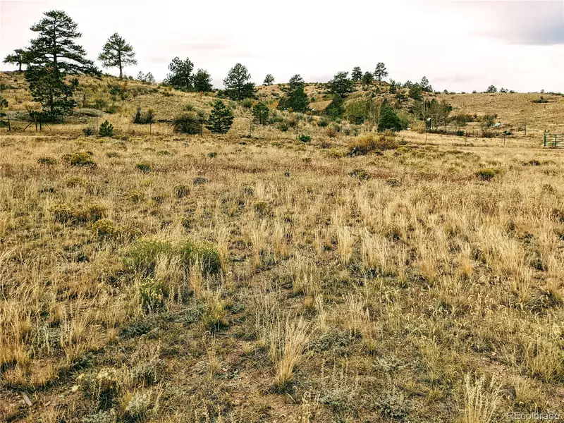 00 Black Beaver, Hartsel, CO 80449