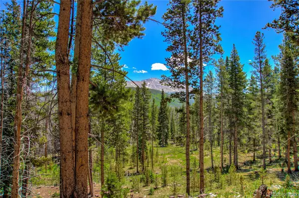 Breckenridge, CO 80424,525 Gold King WAY