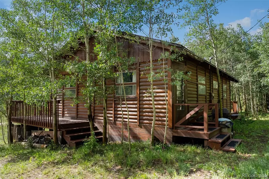 2895 River DR, Alma, CO 80420