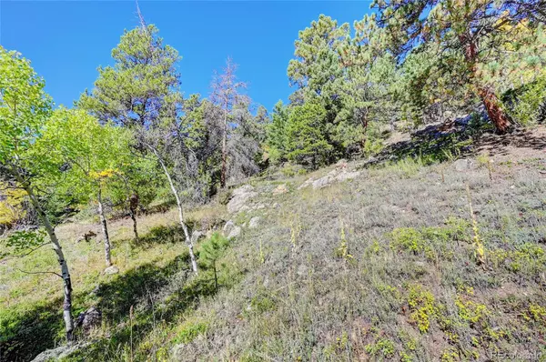 Conifer, CO 80433,11692 Braun WAY