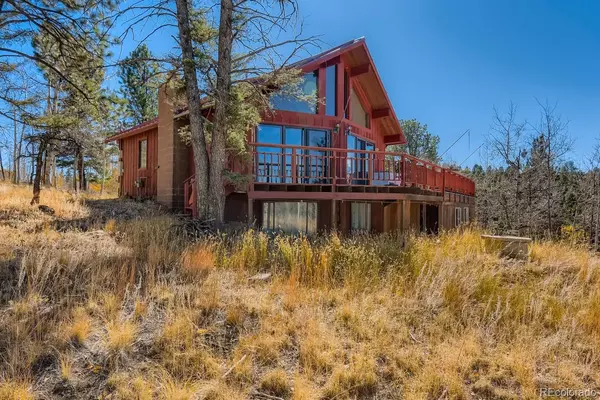 307 Berylium RD, Florissant, CO 80816