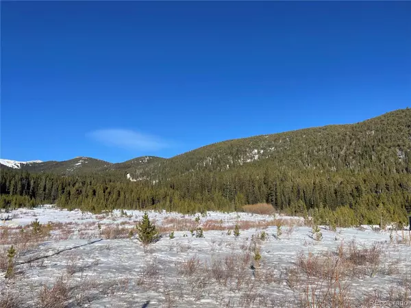 Idaho Springs, CO 80452,Lot 38 Silver Creek RD