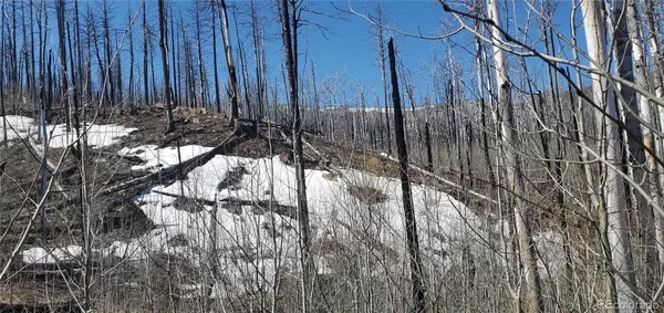 Fort Garland, CO 81133,Lot's 854,855 Slaoui PL