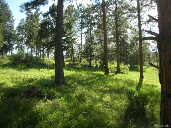 Evergreen, CO 80439,5549 S SKYLINE DR