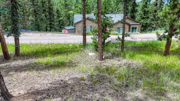 Woodland Park, CO 80863,215 Iron Eagle PT