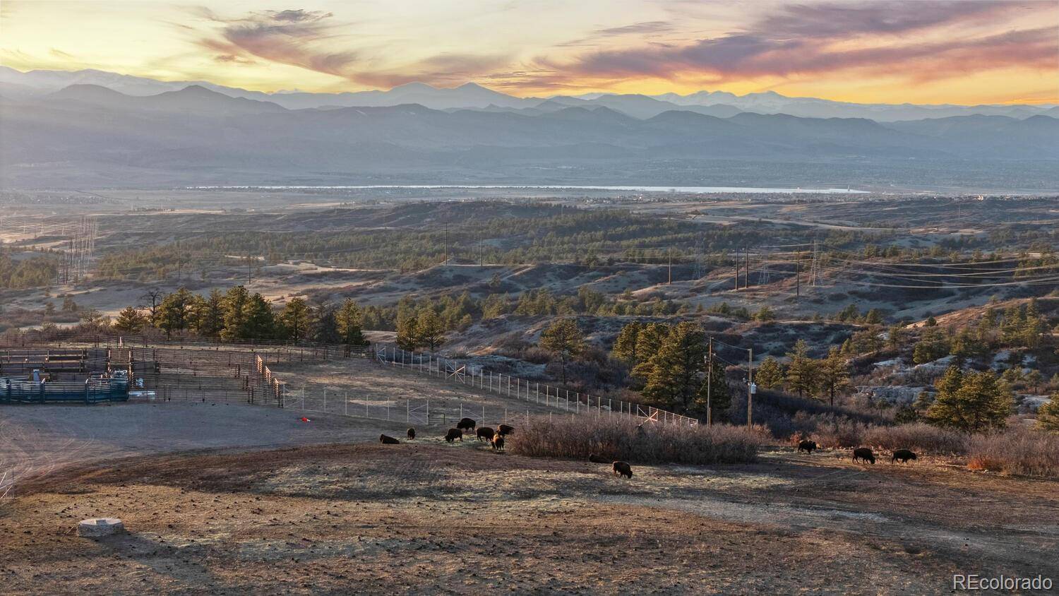 Castle Pines, CO 80108,5810 Amber Ridge DR